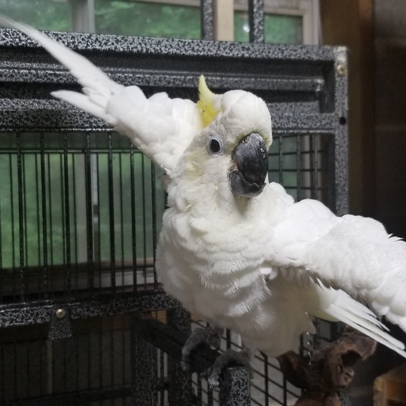 Everything and Anything - Picture 7 of 7